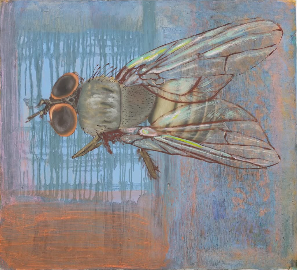 Painting of a fly by Sof'ya Shpurova on a blue and orange background